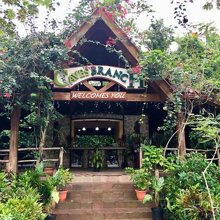 Ian Anderson Caves Branch Jungle Lodge Belmopan Buitenkant foto