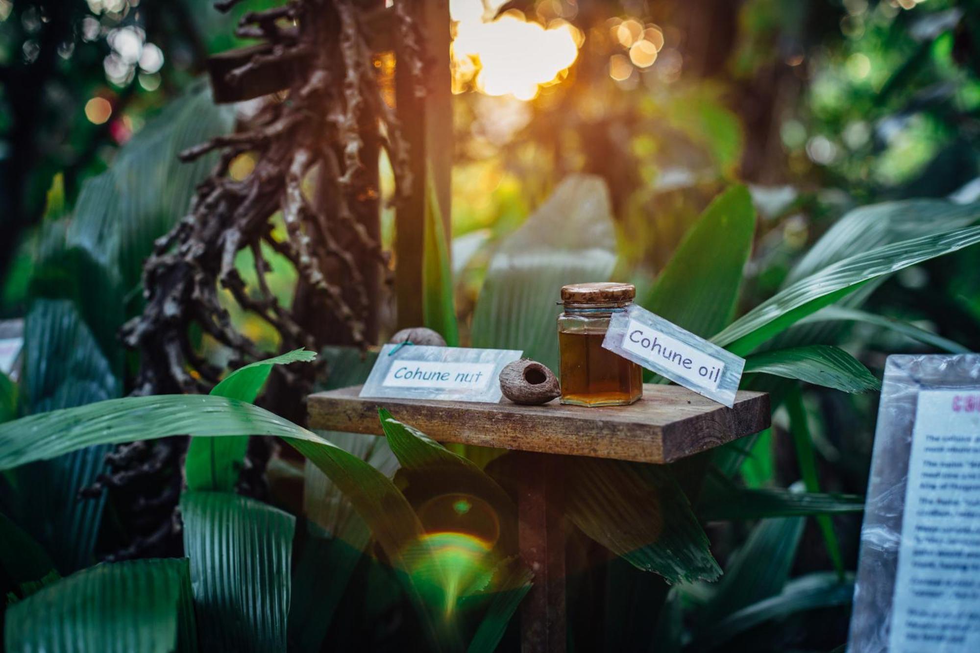 Ian Anderson Caves Branch Jungle Lodge Belmopan Buitenkant foto