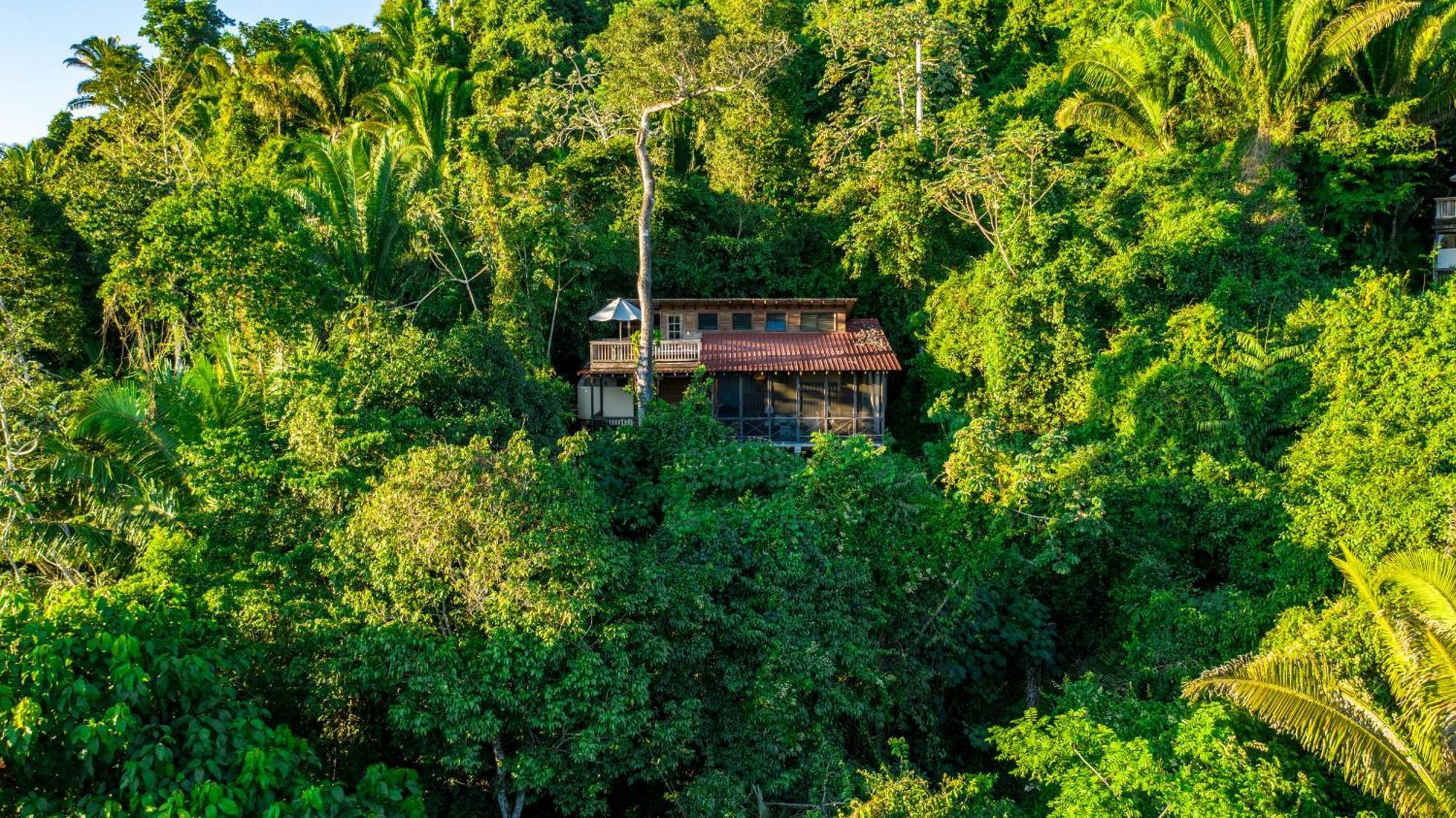 Ian Anderson Caves Branch Jungle Lodge Belmopan Buitenkant foto