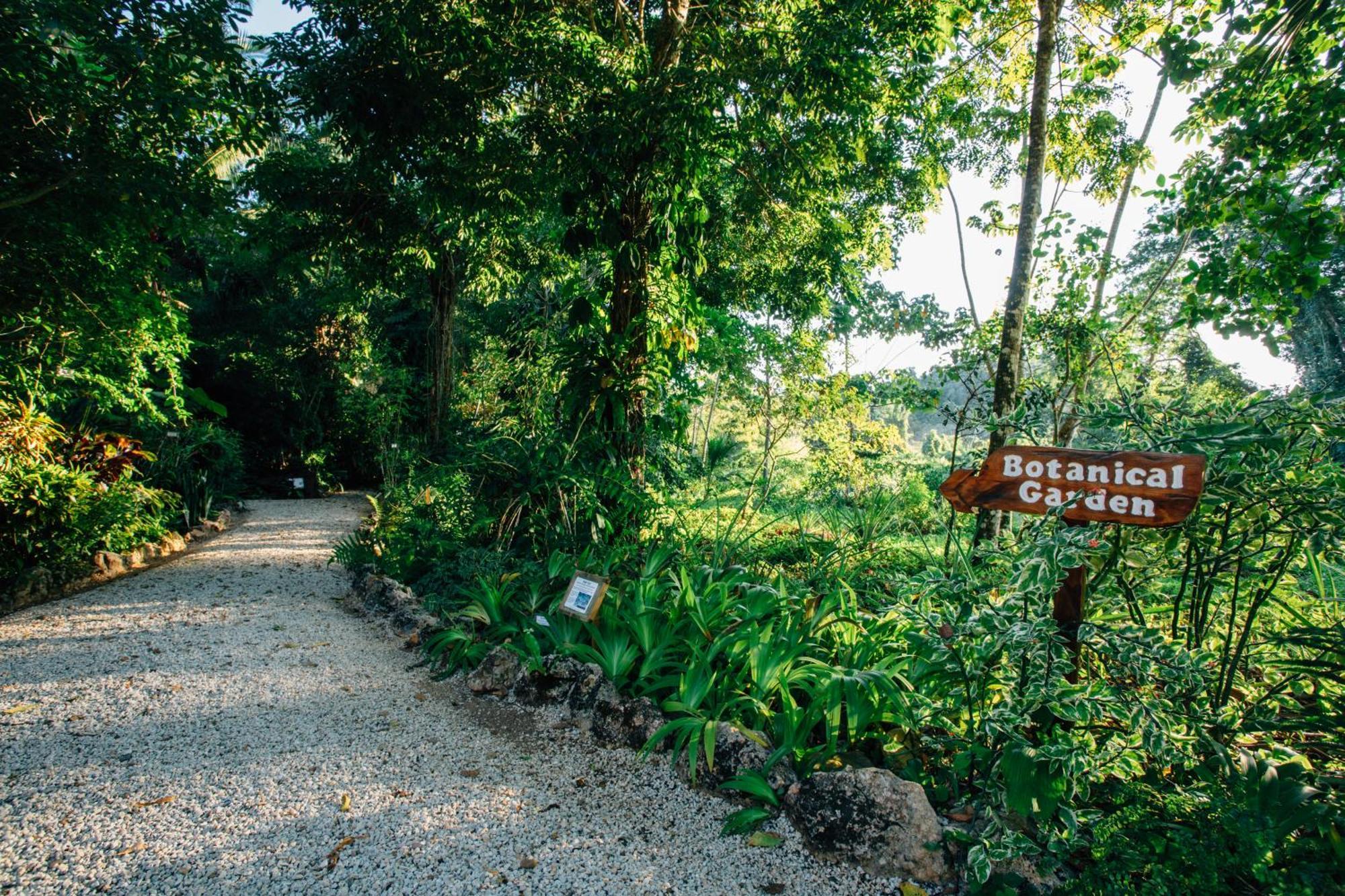 Ian Anderson Caves Branch Jungle Lodge Belmopan Buitenkant foto