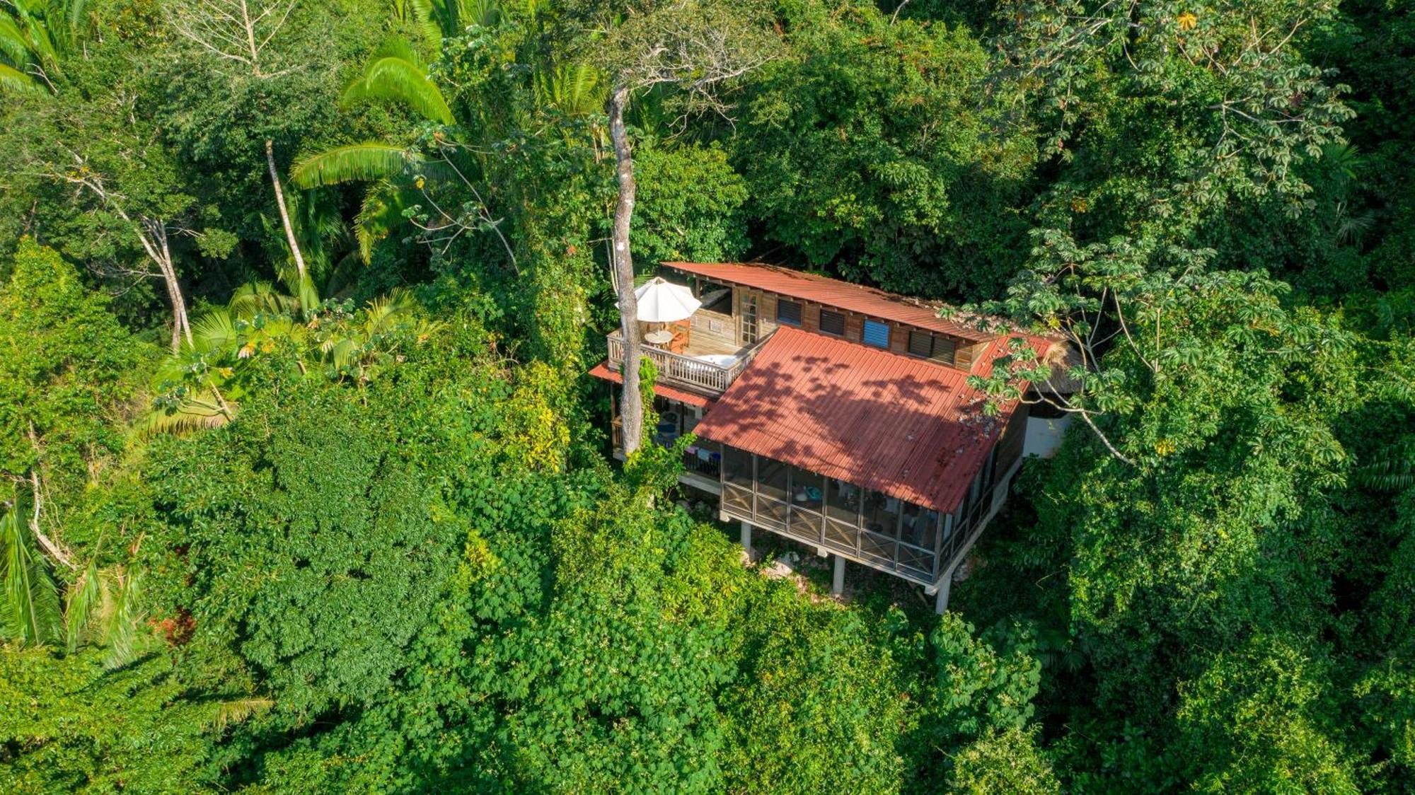 Ian Anderson Caves Branch Jungle Lodge Belmopan Buitenkant foto