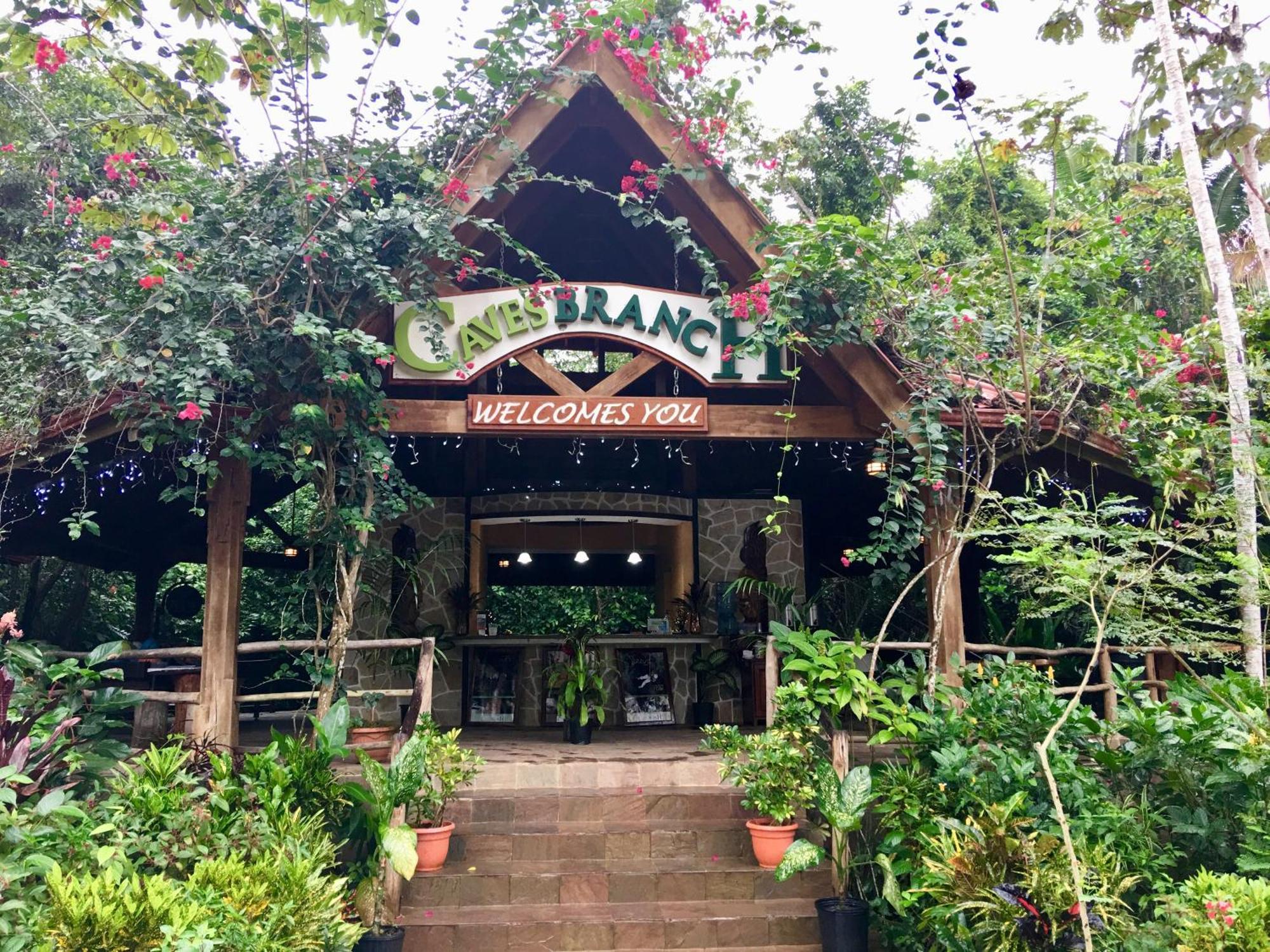 Ian Anderson Caves Branch Jungle Lodge Belmopan Buitenkant foto